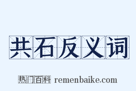 共石反义词是什么意思的图片